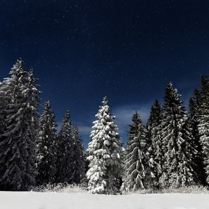 孩性fYeeseⅩh娇小侵犯
